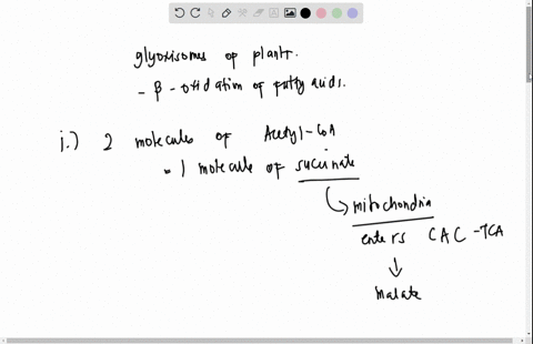 glyoxylate-cycle-occurs-only-in-plants-write-its-overall-reaction-of-glyoxylate-cycle-how-do-you-relate-glyoxylate-cycle-with-germinating-seeds-iii_-name-the-reactions-that-are-similar-t0-ci-50265