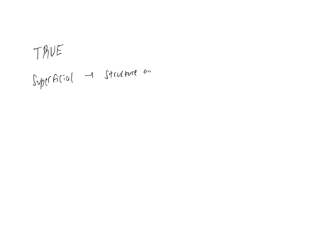 true-or-false-the-term-superficial-refers-to-a-structure-that-is-toward-or-at-the-body-surface
