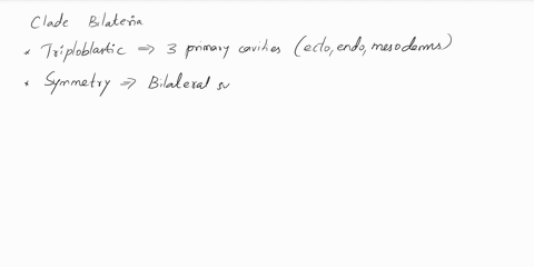 which-of-the-following-is-not-true-about-animals-belonging-to-the-clade-bilateria-select-one-a-they-are-triploblastic-b-they-include-vertebrates-c-they-generally-have-mirror-image-left-and-r-47511