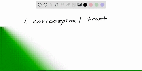 use-the-descriptions-of-disfunction-given-below-to-identify-which-somatosensory-tractspathways-of-the-spinal-cord-would-produce-these-effects-if-damageda-patient-is-unable-to-perform-smooth-79964