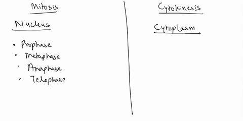 explain-the-difference-between-mitosis-and-cytokinesis-51838
