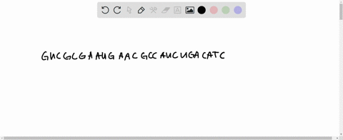 question-10-menf-ou-w10-how-many-amino-acids-will-be-needed-to-build-the-protein-coded-by-the-transcript-gucgcgaaugaacgccaucugagatc-select-one-012-79435