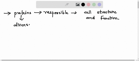 2-explain-how-proteins-are-largely-responsible-for-cell-structure-and-function-3-outline-how-dna-stores-the-information-to-make-proteins-65314