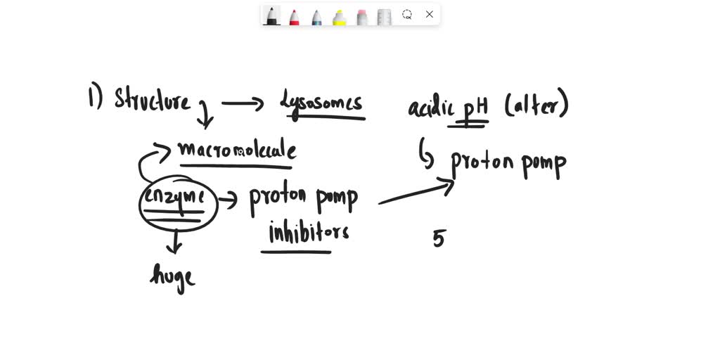 SOLVED When proton pump inhibitors are used, the enzymes in this