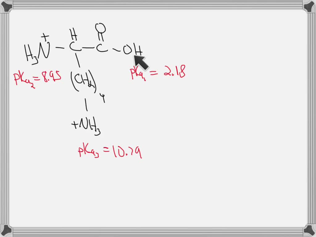 SOLVED: Which one of the compounds in Figure #8 is the predominant form ...