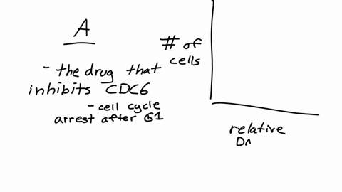 flow-cytometry-can-be-used-to-determine-the-relative-numbers-of-cells-of-a-population-in-different-phases-of-the-cell-cycle-cellular-dna-is-stained-with-a-fluorescent-dye-and-the-cells-are-t-11491