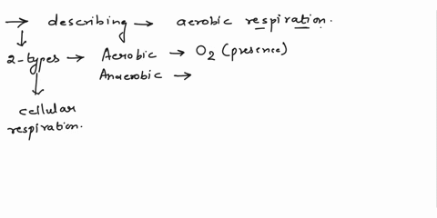 what-is-an-accurate-description-of-aerobic-respiration-a-process-that-uses-oxygen-to-break-down-molecules-to-absorb-energy-a-process-that-uses-oxygen-to-break-down-molecules-to-release-energ-83301