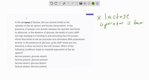 in-the-absence-of-lactose-the-laci-protein-binds-to-the-operator-of-the-lac-operon-and-blocks-transcription-in-the-presence-of-lactose-laci-protein-releases-the-operator-and-binds-to-alllact-02199