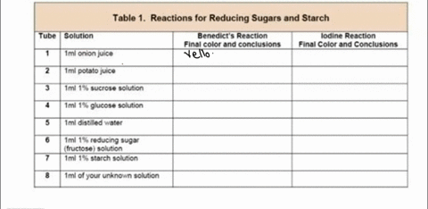 lodine-test-for-starch-staining-by-iodine-lodine-potassium-iodide-ki-distinguishes-starch-irom-monosaccharidos-disacchandes-and-other-polysacchandes_-the-basis-for-this-test-is-ihat-starch-i-42073