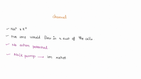 1-a-channel-that-is-permeable-to-sodium-and-potassium-opens-at-the-cells-resting-membrane-potential-a-what-is-going-to-happen-ie-ion-flow-immediately-after-the-channel-opens-b-what-if-the-ch-57753
