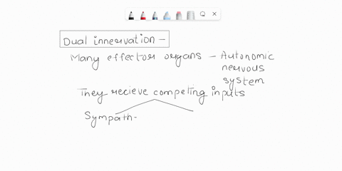 what-does-dual-innervation-mean-93539