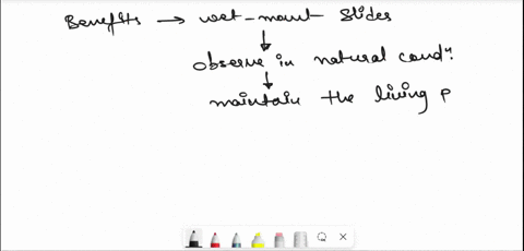 describe-two-benefits-to-producing-wet-mount-slides-as-opposed-to-other-methods-of-microscopy-03703