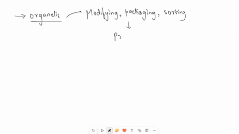 what-cellular-organelle-is-responsible-for-modifying-sorting-and-packaging-proteins-and-lipids-28398