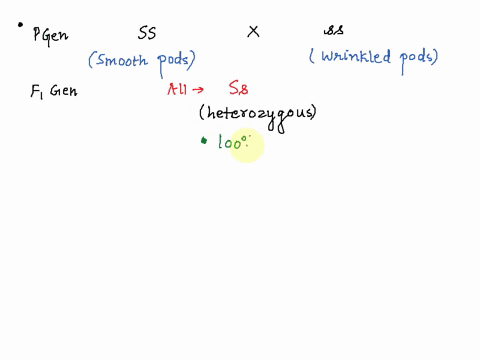 in-pea-plants-the-allele-for-smooth-pods-s-is-dominant-over-the-allele-for-wrinkled-pods-s-a-homozygous-plant-with-smooth-pods-is-crossed-with-a-homozygous-plant-with-wrinkled-pods-which-of-50143