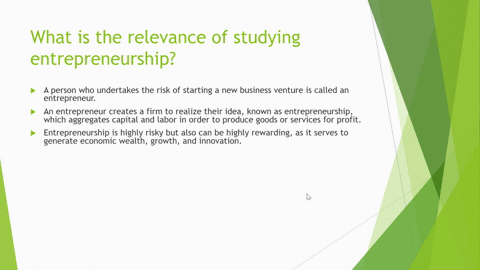 1-what-is-the-relevance-of-studying-entrepreneurship-2-describe-the-wealth-conversion-principle-and-how-business-works-65991
