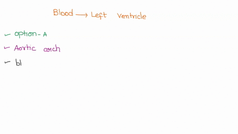 38-when-blood-leaves-the-left-ventricle-it-first-enters-into-the-select-one-jtof-a-aortic-arch-question-b-brachiocephalic-artery-c-inferior-vena-cava-pulmonary-artery-or-trunk-superior-vena-90849