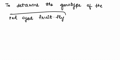 in-fruit-flies-red-eyes-are-dominate-to-sepia-eyes-a-fruit-fly-is-displaying-the-dominate-phenotype-for-eye-color-red-eyes-how-can-you-determine-its-genotype-of-the-red-eye-fruit-fly-be-deta-07109