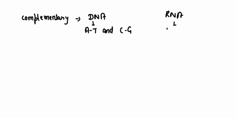 if-a-dna-base-sequence-is-tac-what-would-the-complementary-mrna-sequence-be-50413