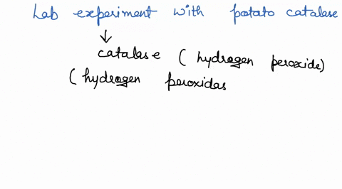 during-lab-experiments-with-potato-catalase-hydrogen-peroxidase-you-are-directed-to-set-up-a-reaction-containing-catalase-and-a-solution-of-sucrose-as-you-predict-you-see-no-activity-in-the-87903