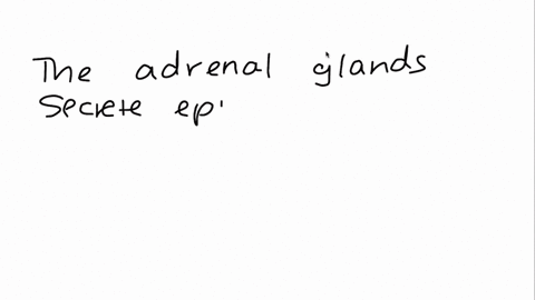 the-______________-______________-______________-secretes-epinephrine-and-norepinephrine-helping-to-30154