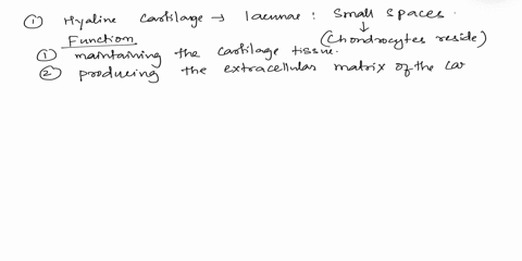 what-is-the-function-of-the-lacuna-in-hyaline-cartilage-as-well-as-in-fibrocartilage-74747