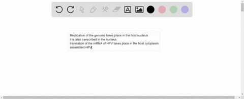 human-papillomavirus-hpv-is-a-naked-dsdna-virus-therefore-complement-protein-activation-would-be-highly-effective-in-eliminating-the-virus-true-or-false-39442