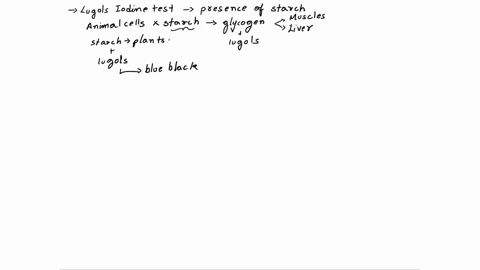 apply-your-knowledge-of-biomolecules-carbohydrates-lipids-proteins-nucleic-acids-and-predict-what-the-results-would-be-if-you-ran-these-chemical-tests-lugols-benedicts-biuret-and-sudan-iii-o-86928