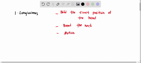 0l-3-name-the-muscles-that-make-up-the-erector-spinae-muscle-group-complete-the-following-longissimus-mnuscle-actions-78128