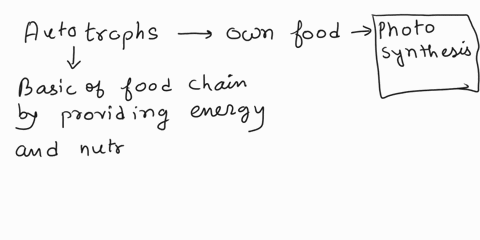 how-are-the-terms-autotroph-food-chain-and-heterotroph-related-77035