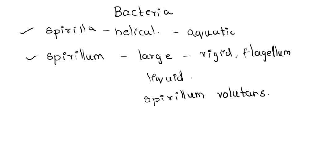 SOLVED: Name and describe 3 variations of spiral shaped bacteria. A. B. C.