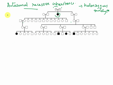 6ldentify-the-mode-of-inheritance-for-the-following-pedigree-provide-the-genotypes-of-indicated-individuals-genotypes-ii-1-iv-1-v-6-v-12-v-14-11-2-iv-2-11-3-iv-3-1ii-1-iii-13-iv-4-v-16-v-19-04667