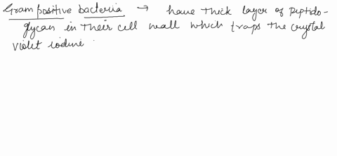 gram-staining-microhial-cells-sit-gram-positive-vs-gram-negative-cell-wall-structure-72619
