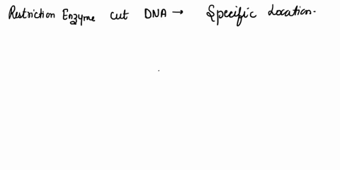 question-9-2-pts-which-of-the-following-would-not-be-considered-tool-in-the-biotechnology-toolbox-genetically-engineered-plasmids-t0-carry-forcign-dna-into-bacteria-for-replication-vectors-t-43642
