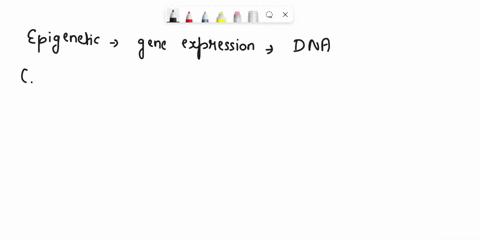 which-of-the-following-might-affect-the-mendelia-inheritance-of-organismal-traits-epigenetic-effects-crossing-over-in-meiosis-additive-effect-of-genes-epistasis-36208