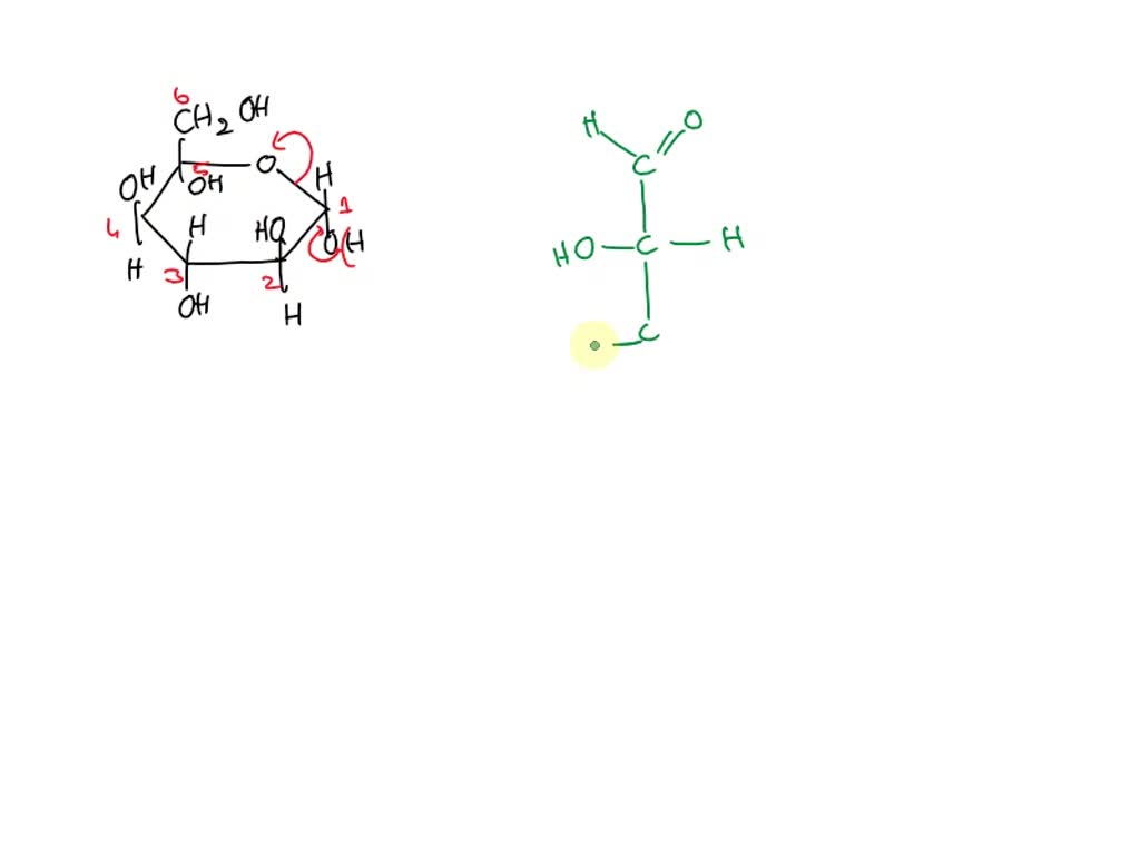 SOLVED: The representation of a monosaccharide shown here is known as a ...