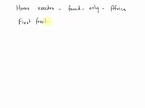 true-or-false-homo-erectus-is-only-found-in-africa-61883