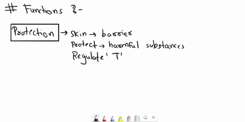 what-are-some-of-the-general-functions-of-skin-53328