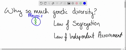 referencing-mendels-law-of-independent-assortment-and-segregation-explain-why-there-is-so-much-genetic-diversity-in-human-gametes