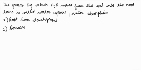explain-how-water-enter-the-soil-root-hairs-of-the-plant-99666
