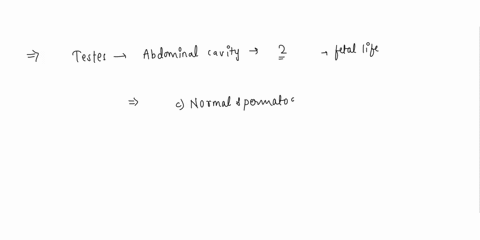 the-descent-of-the-testes-from-the-abdominal-cavity-into-the-two-scrotal-sacs-occurs-during-foetal-life-because-a-additional-room-is-required-for-the-complete-development-of-the-testesb-the-96505