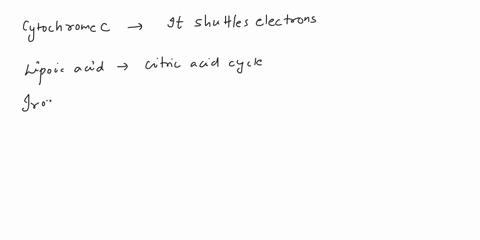 which-of-the-following-cofactors-are-required-by-the-electron-transport-chain-during-the-reduction-of-coenzyme-q-with-electrons-from-nadha-cytochrome-c-b-lipoic-acidc-iron-porphyrin-d-fmn-07103