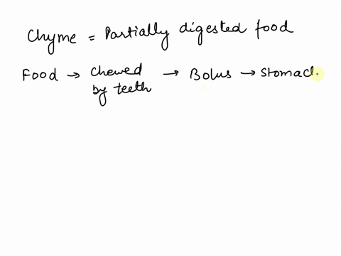 food-in-the-digestive-tract-is-called-chyme-after-multiple-choice-the-stomach-processes-it-it-is-chewed-by-the-teeth_-elimination-through-the-anus_-all-nutrients-have-been-absorbed-by-the-sm-49628