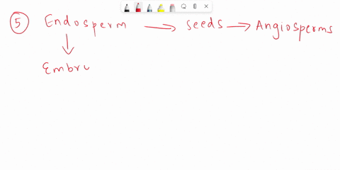 what-is-one-advantage-that-seeds-have-over-spores-in-terms-of-their-likelihood-of-establishing-the-next-sporophyte-generation-in-anglosperms-what-is-the-function-of-the-endosperm-quite-few-p-21877