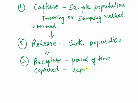 flow-chart-to-describe-the-four-steps-used-in-mark-recapture-sampling-use-how-can-tracking-population-help-biologists-to-manage-the-population-c-1-mainiidea-ethical-issues-ad-concerns-need-t-51088