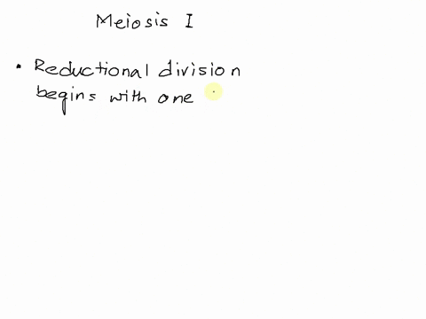25-at-the-end-of-meiosis-which-best-describes-the-chromosomes-in-the-cells-a-dna-replication-in-the-phase-has-led-to-doubling-in-chromosome-number-b-the-cells-contain-the-haploid-number-of-c-95904
