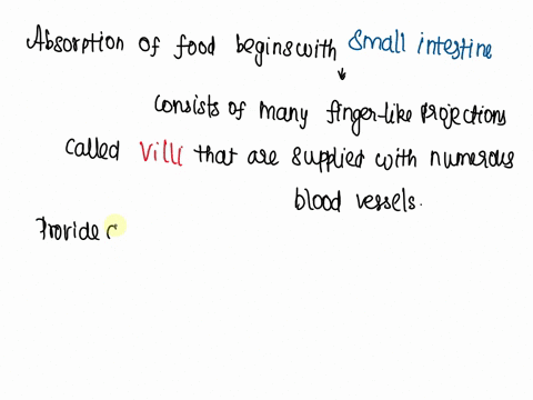 how-does-absorption-of-digested-food-take-place-in-small-intestine-59626