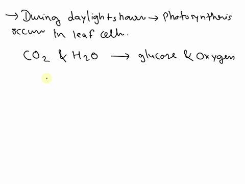 during-the-hours-of-daylight-the-concentration-of-carbon-dioxide-in-the-air-spaces-is-higher-than-in-the-cell-of-layer-x-explain-why-this-difference-in-concentration-is-important-to-leaf-cel-27593