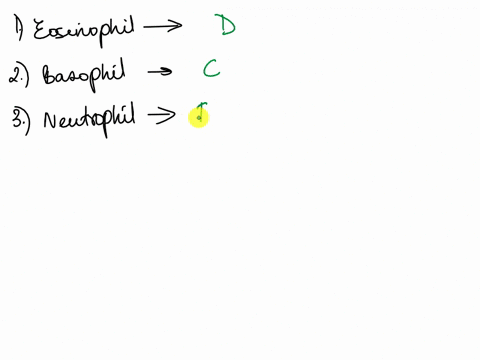 malch-tha-follotting-eosinophil-ile-largest-phagocylic-cell-in-ine-body-basophil-malure-into-mactophages-granukcyte-halt-contairs-histamine-uponant-delense-wjulnst-prolozoan-and-hcimlnth-par-13674