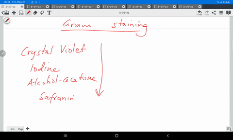 for-the-gram-staining-procedure-which-of-the-following-pairs-is-mismatched-lodine-mordant-b-crystal-violet-basic-dye-calcohol-acetone-decolourizer-dwater-clearing-lugols-iodine-safranin-prim-08012