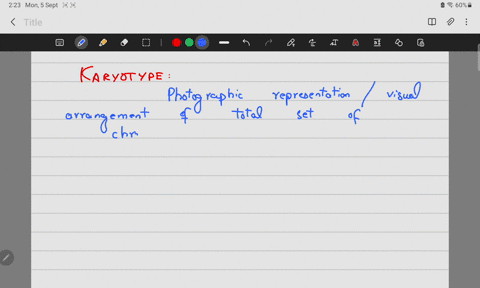 identify-several-things-that-can-be-seen-with-a-karyotype-75182